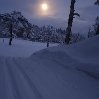 Følg med på skisporet.no